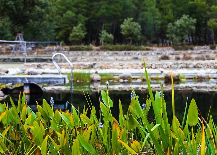 Refugio No Campo - Al 1683 3* Rapoula do Coa